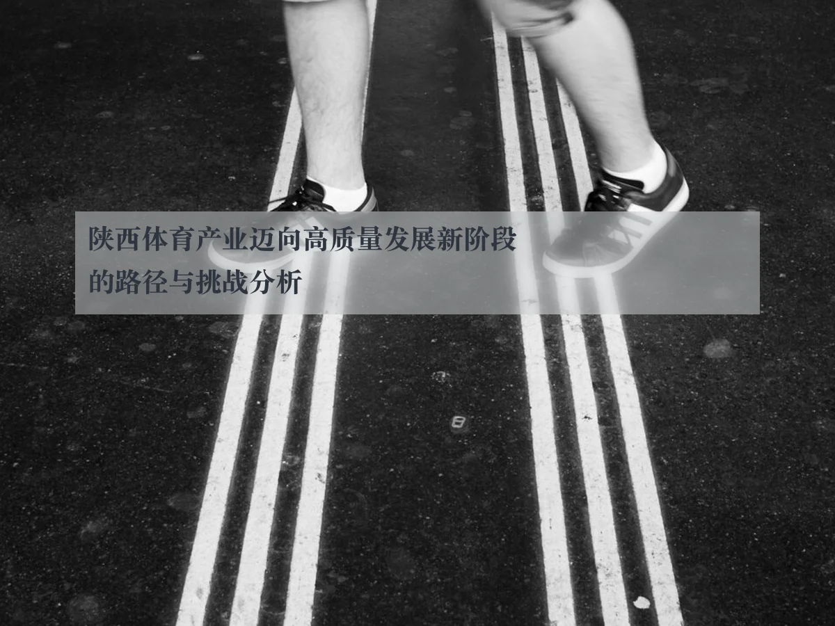陕西体育产业迈向高质量发展新阶段的路径与挑战分析（ky.appAPP）