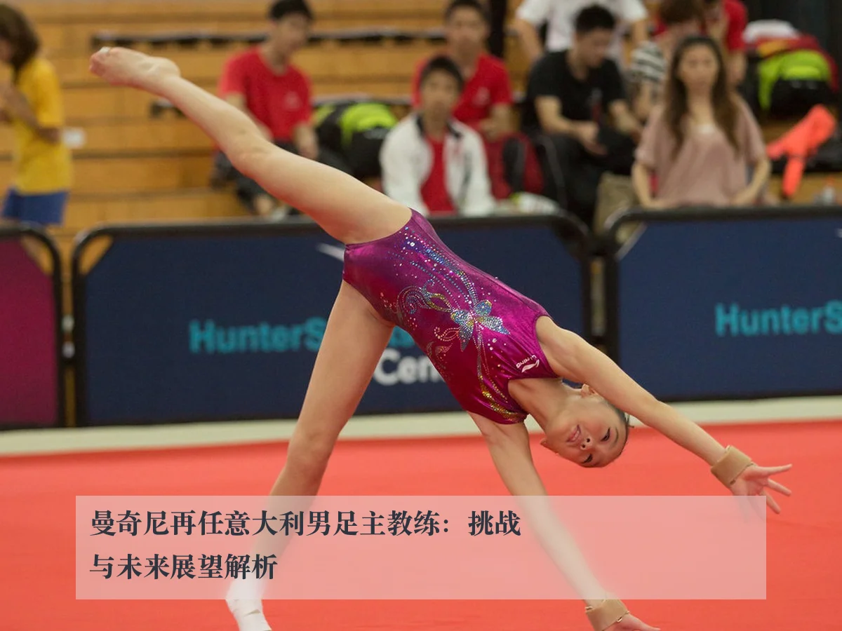 曼奇尼再任意大利男足主教练:挑战与未来展望解析